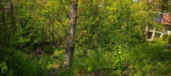 6 bedrooms Villa in Avigliana, Italy No. 362074 31