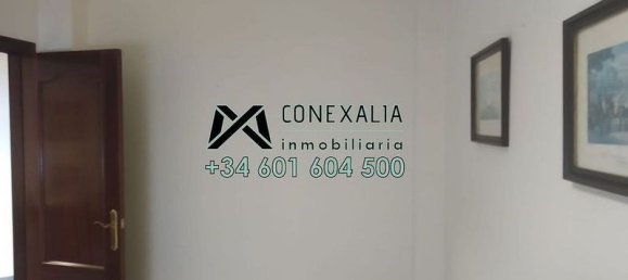  Commercial property in Cadiz, Spain No. 226559 7