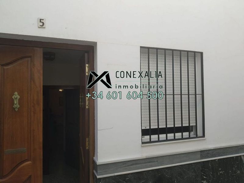  Commercial property in Cadiz, Spain No. 226559