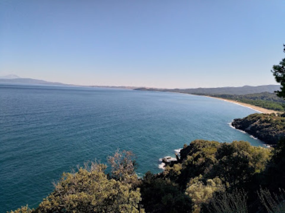  قطعة أرض في Chalkidiki, Greece 6005متر مربع رقم 93613