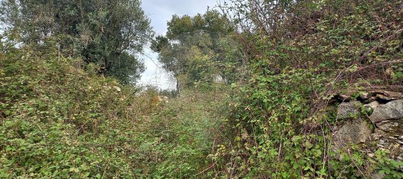 2 غرف نوم منزل في Alvaiazere, Portugal رقم 21174 2