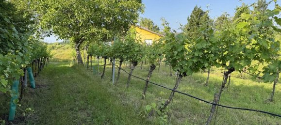  قطعة أرض في Fels am Wagram, Austria 576متر مربع رقم 145155 6