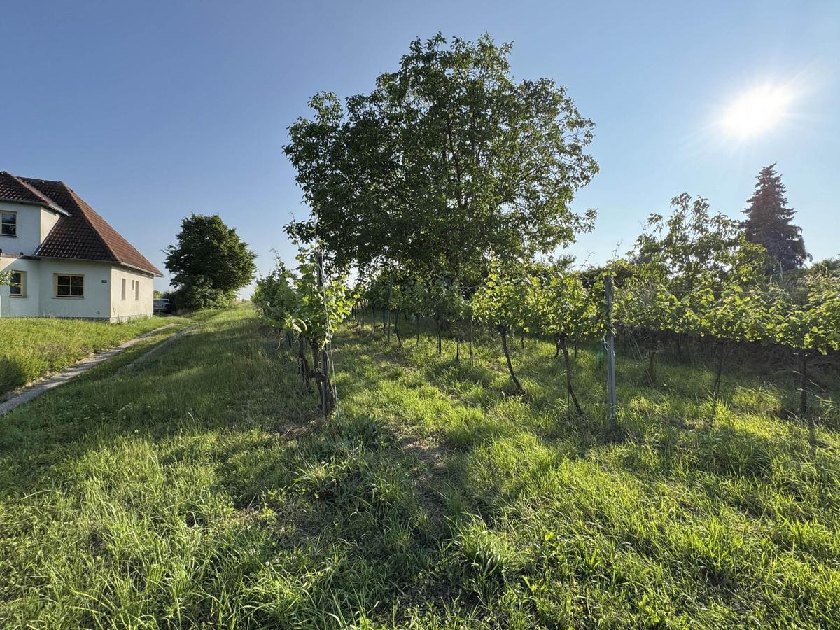  قطعة أرض في Fels am Wagram, Austria 576متر مربع رقم 145155