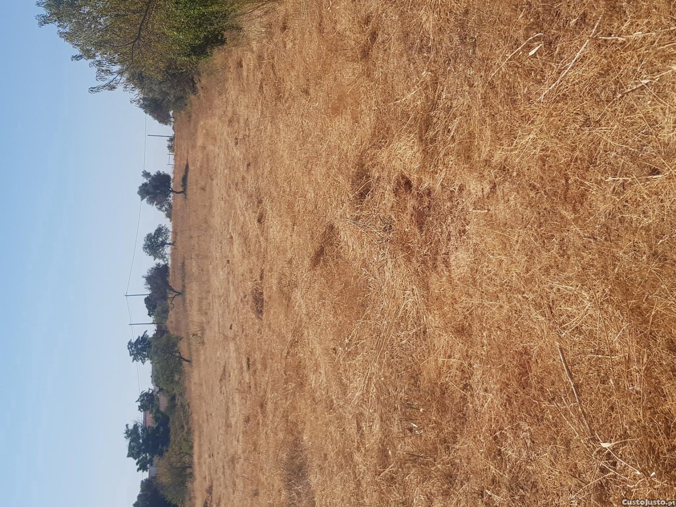 Grundstück in Silves, Portugal 9500m², Nr. 212066