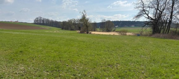 Terreno em Altheim, Austria N.º 137589 3