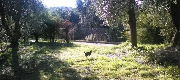 35m² Land in Rodi Garganico, Italy No. 254280 8