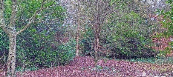 Grundstück in Isle-Aubigny, France, Nr. 39114 5