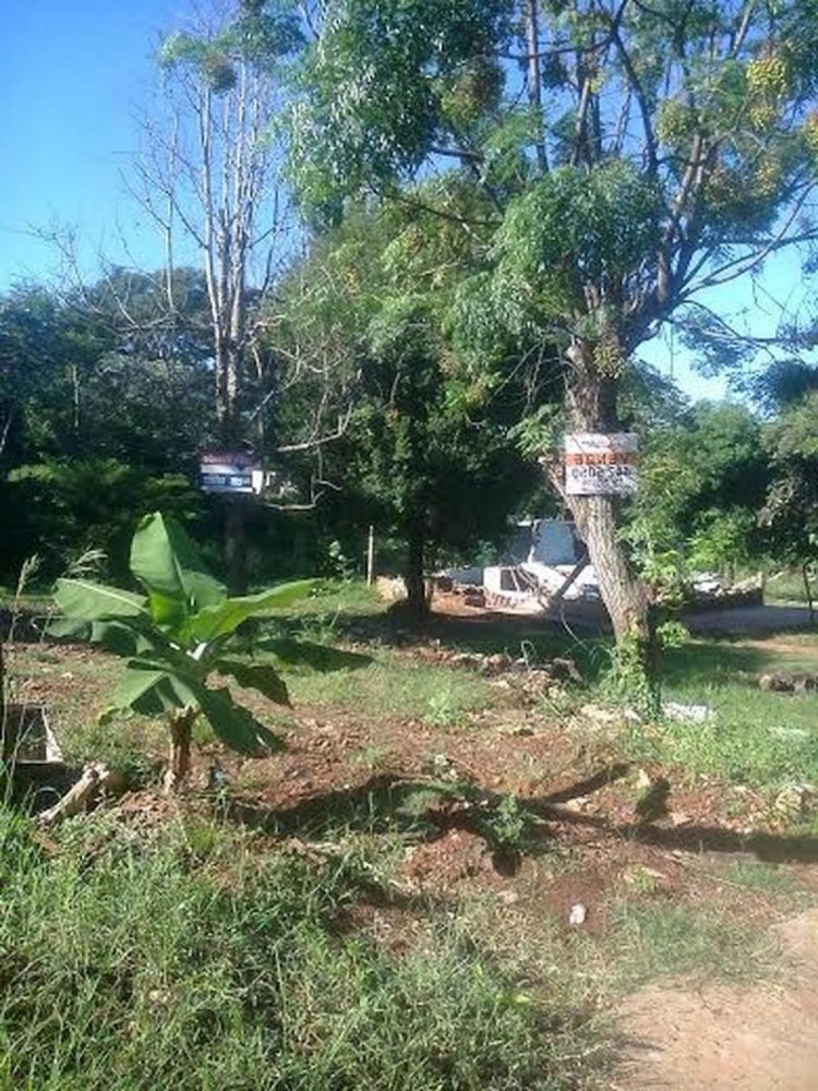 Land in Misiones, Argentina No. 41997