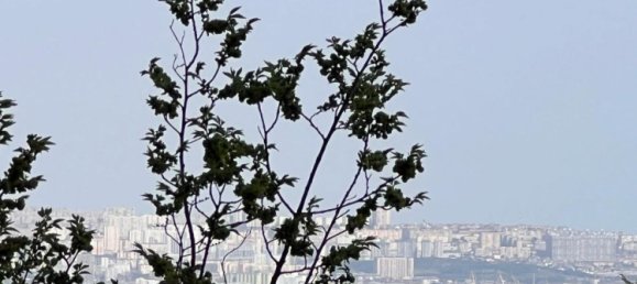 4 chambres Appartement à Yasamal, Azerbaijan No. 1320 10