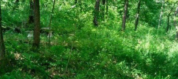 5 rooms Villa in Polinago, Italy No. 115154 26