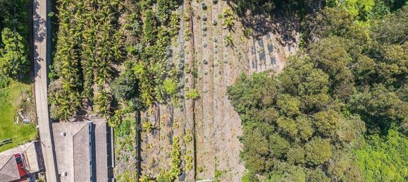 6 bedrooms House in Santana, Portugal No. 28506 9