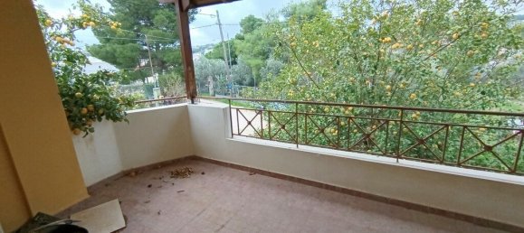 Imóvel comercial em Artemida, Greece 225 m² N.º 52776 25