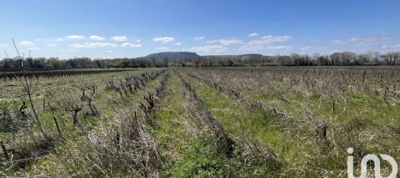 7010m² Land in Gard, France No. 321169 3