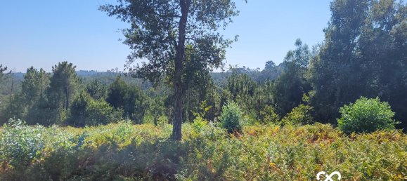 Grundstück in Viseu, Portugal, Nr. 64895 3