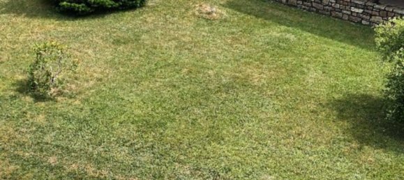 5 bedrooms House in Birkenfeld, Germany No. 293862 8