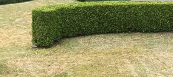 5 bedrooms House in Birkenfeld, Germany No. 293862 7