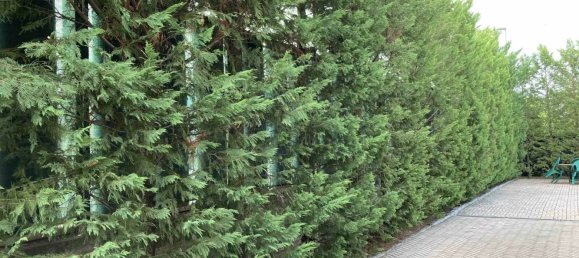 10 rooms Villa in Candelo, Italy No. 80899 2