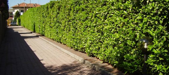 10 rooms Villa in Candelo, Italy No. 80899 7