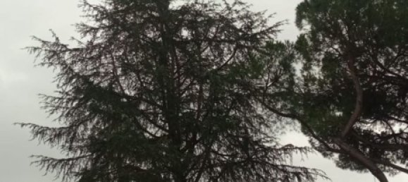 2غرفة شقة في Rome, Italy رقم 203544 3