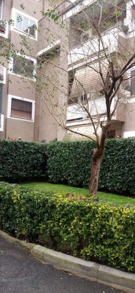 2غرفة شقة في Rome, Italy رقم 203544