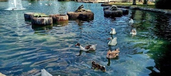 2 Schlafzimmer Wohnung in Torrevieja, Spain, Nr. 140399 14