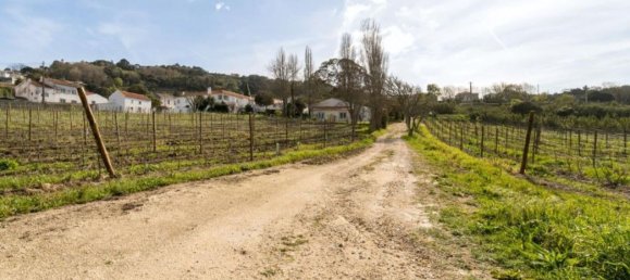 14 bedrooms House for sale in Colares, Sintra, Lisbon, Portugal № 144648 18