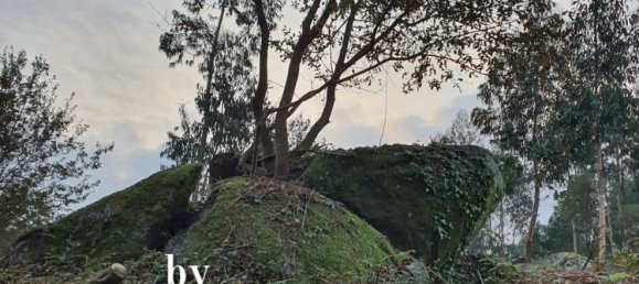 Casa T4 em Santo Tirso, Portugal N.º 134418 8