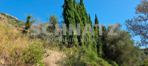 10500m² Land in Alcalali, Spain No. 160976 9