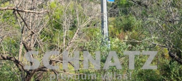 10500m² Land in Alcalali, Spain No. 160976 4