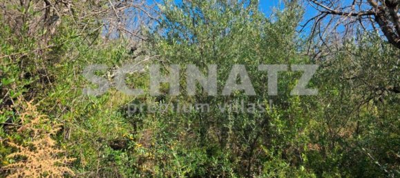 10500m² Land in Alcalali, Spain No. 160976 6