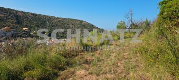 10500m² Land in Alcalali, Spain No. 160976 8