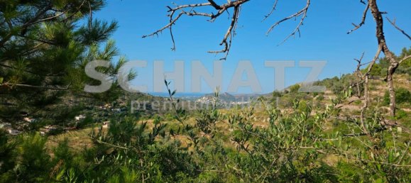10500m² Land in Alcalali, Spain No. 160976 5