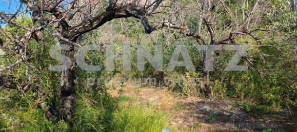 10500m² Land in Alcalali, Spain No. 160976 3