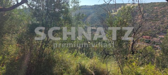 10500m² Land in Alcalali, Spain No. 160976 7
