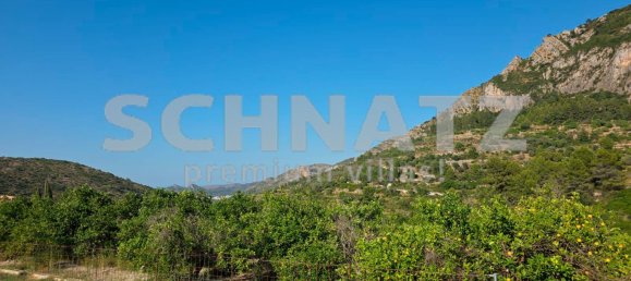 10500m² Land in Alcalali, Spain No. 160976 11