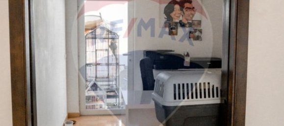 5 غرف نوم منزل في Alcacer do Sal, Portugal رقم 28936 14