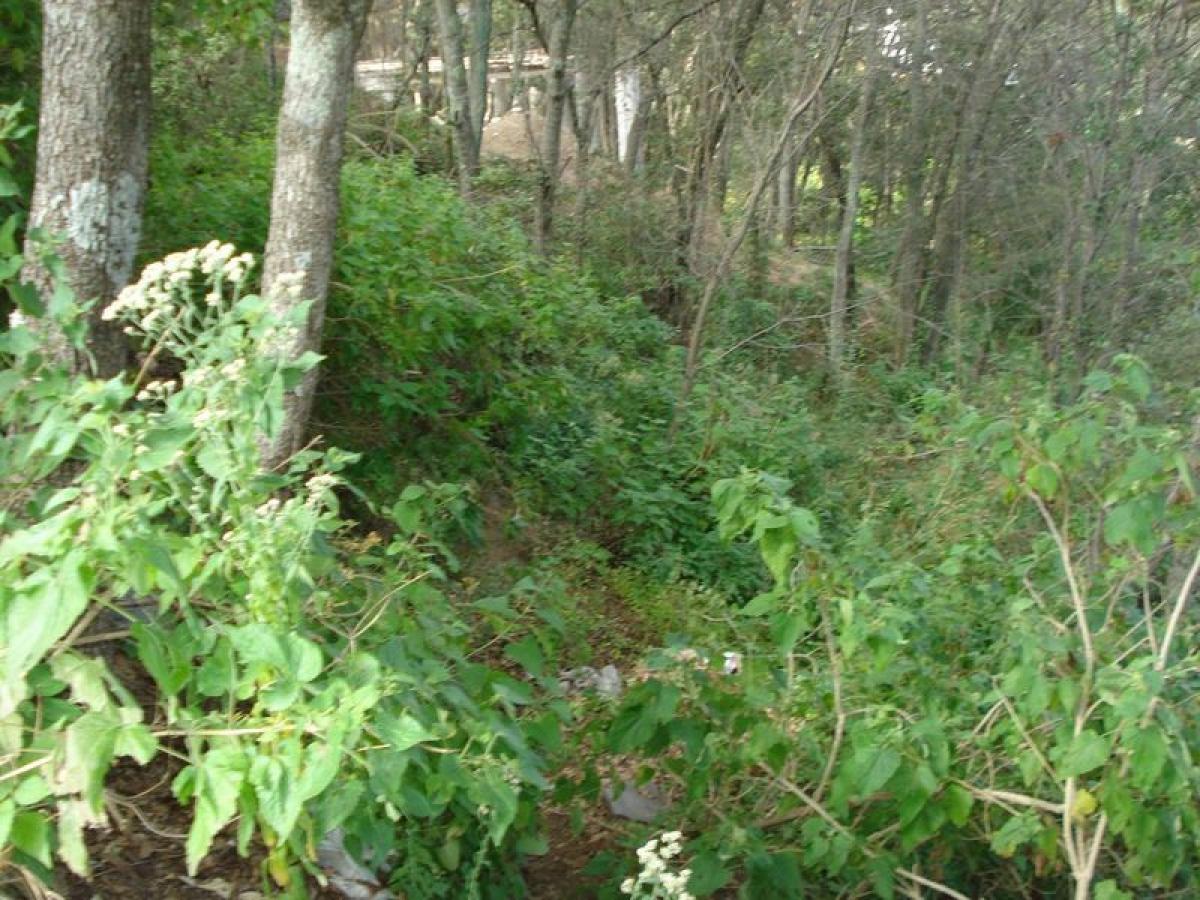 Terrain à Ciudad Lopez Mateos, Mexico No. 207185