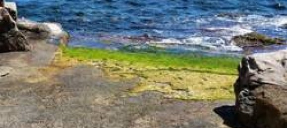 2 bedrooms Apartment in Palermo, Italy No. 125030 9