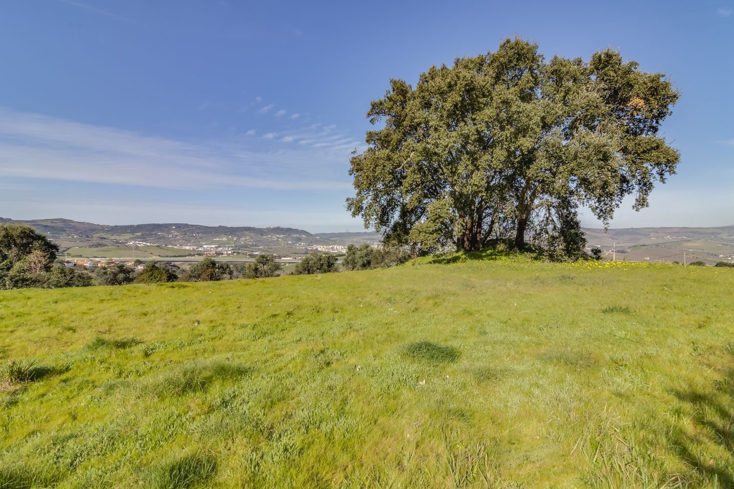 1 bedroom House in Arruda dos Vinhos, Portugal No. 254896