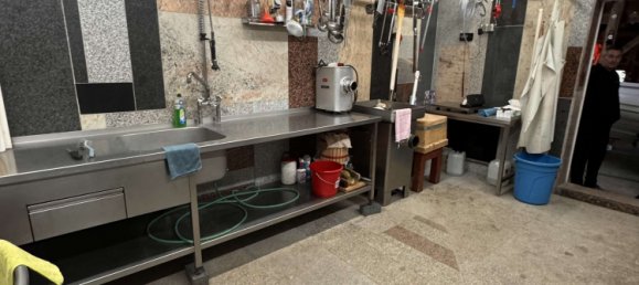 Дом с 4 спальнями в Передняя Померания-Рюген, Германия № 129419 7