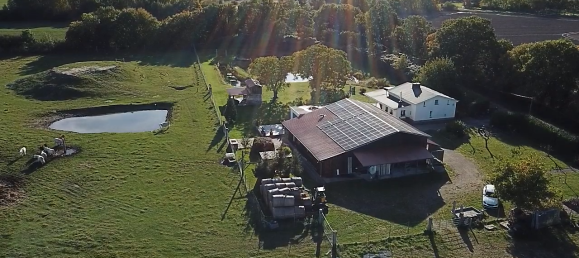 Дом с 4 спальнями в Передняя Померания-Рюген, Германия № 129419 40