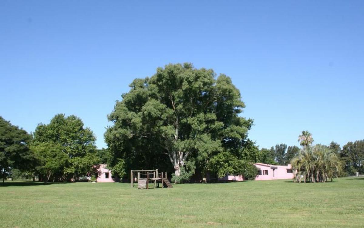  قطعة أرض في Pilar, Argentina رقم 46298