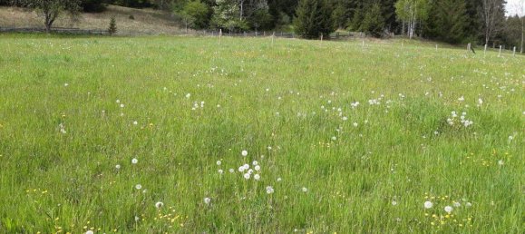 Terreno em Bramberg am Wildkogel, Austria N.º 158589 2