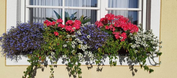 6 rooms House in Pinggau, Austria No. 175734 30