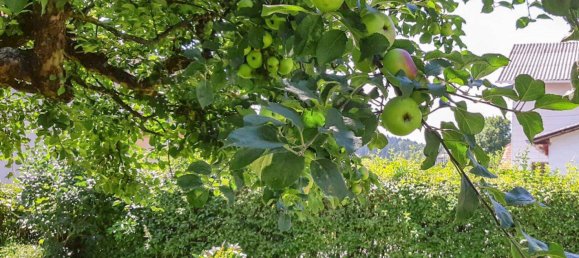 6 rooms House in Pinggau, Austria No. 175734 27