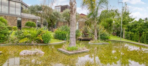 Studio in Guimaraes, Portugal No. 62628 2