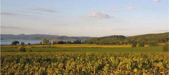 Edifício em Castiglione del Lago, Italy 50000 m² N.º 85608 4