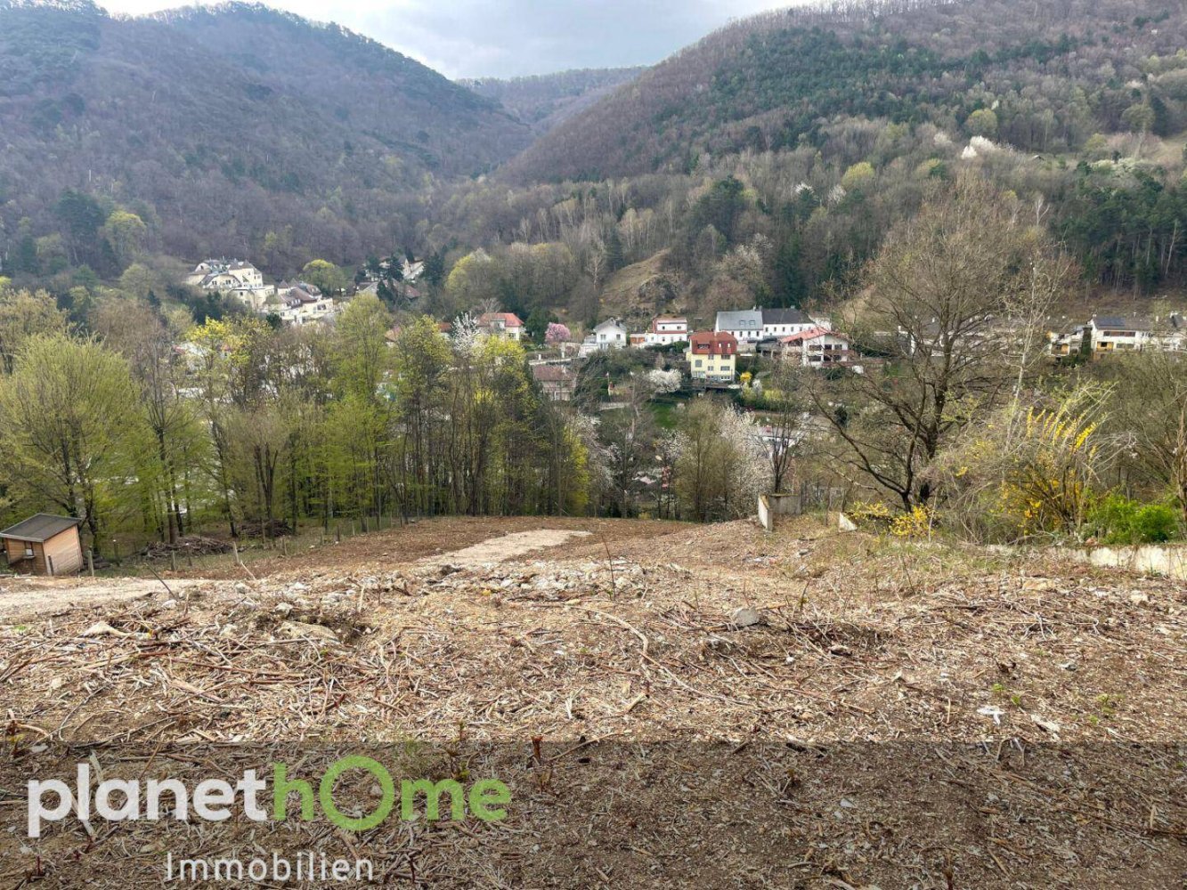  قطعة أرض في Kaltenleutgeben, Austria 1933متر مربع رقم 238444