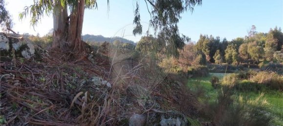 1 bedroom House in Fundao, Portugal No. 87953 14