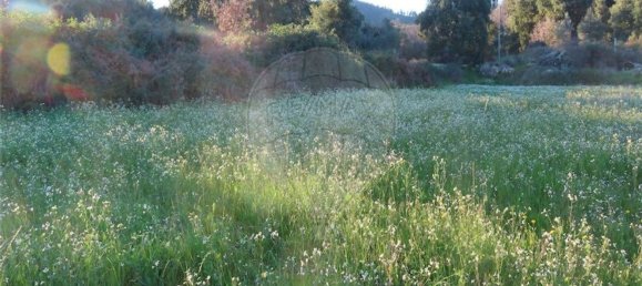 1 bedroom House in Fundao, Portugal No. 87953 16